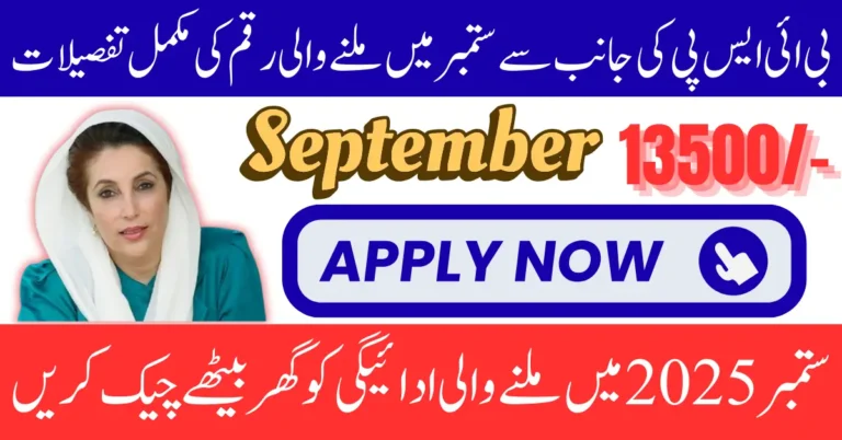 BISP 8171 August September 2025 Payment Delays Get 13500 Payment Using CNIC Know Full Guide