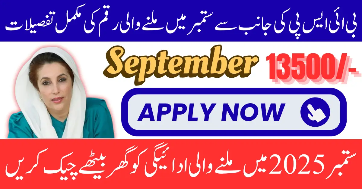 BISP 8171 August September 2025 Payment Delays Get 13500 Payment Using CNIC Know Full Guide