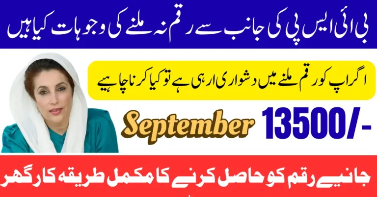 BISP Payment Delays In September 2025 Direct Transfer 13500 Into Account Know Full Guide