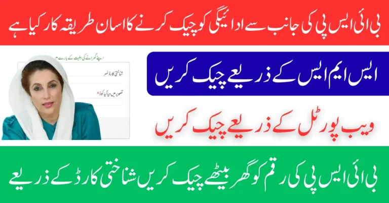 Bisp 8171 Web Portal CNIC Check Registration Rs. 13,500 Status Know Full Guide Step By Step