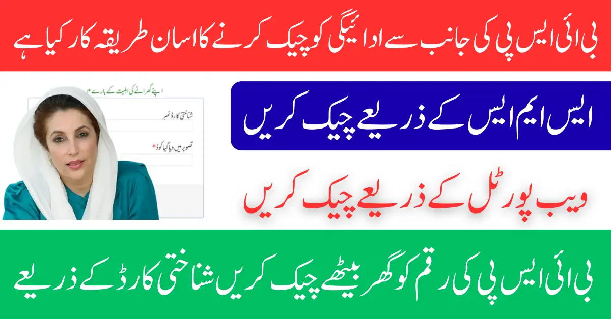 Bisp 8171 Web Portal CNIC Check Registration Rs. 13,500 Status Know Full Guide Step By Step