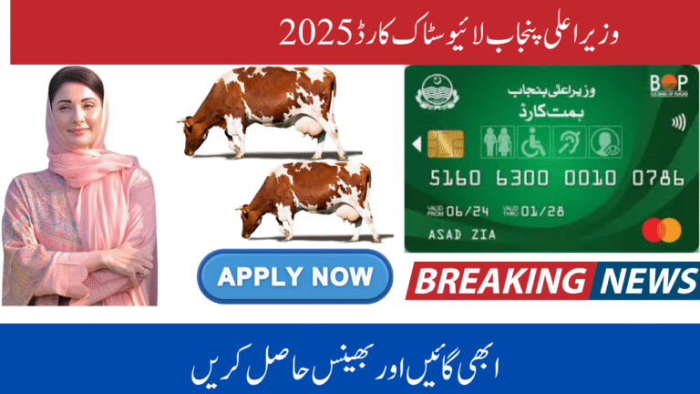 CM Livestock Card Scheme 2025 Empowering Farmers and Boosting Livestock Sector