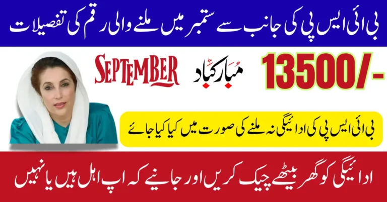 BISP 8171 September 13500 Payment Details Check Using CNIC And Verify Eligibility Status Full Guide