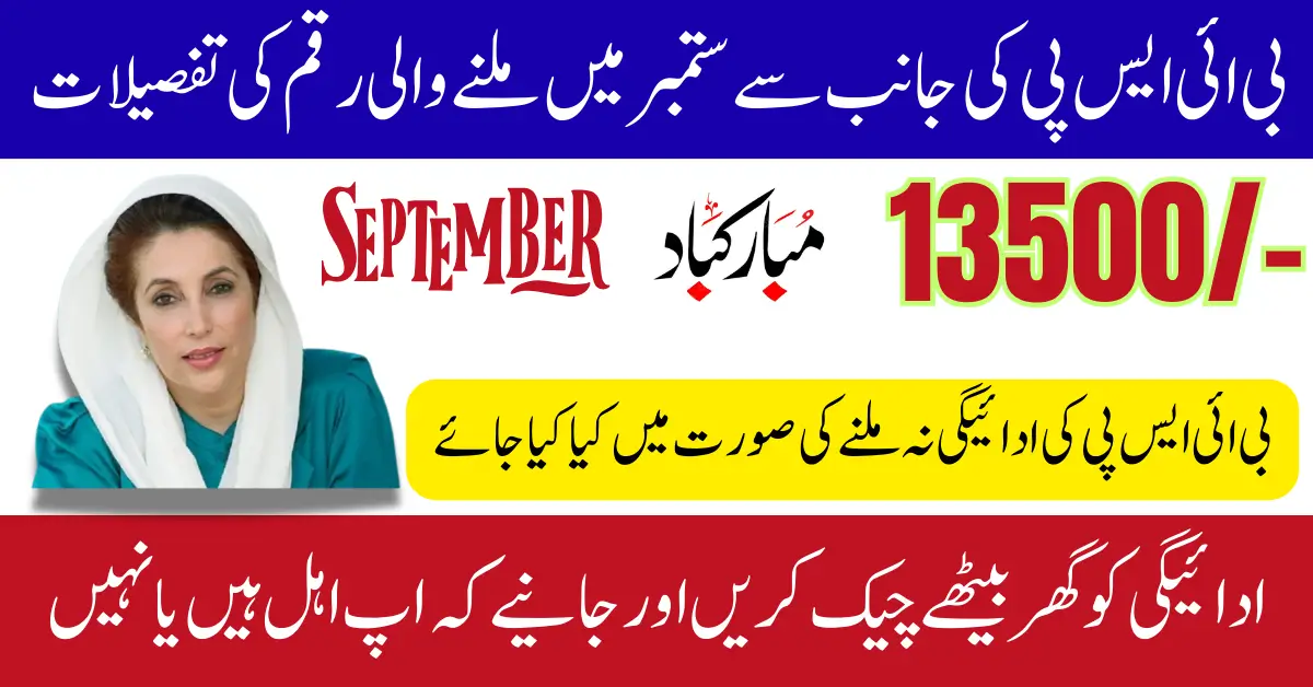 BISP 8171 September 13500 Payment Details Check Using CNIC And Verify Eligibility Status Full Guide
