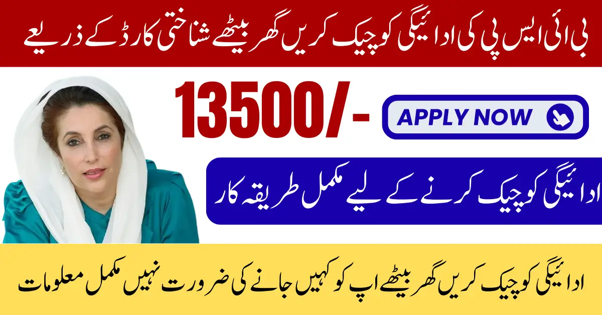 BISP Survey 2025 Payment Eligibility Check 13500 Status Using CNIC Know Full Guide